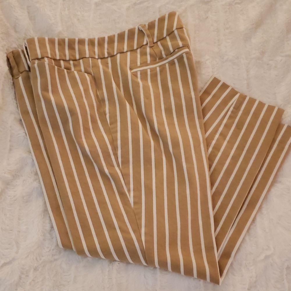NY&CO Audrey ankle pants